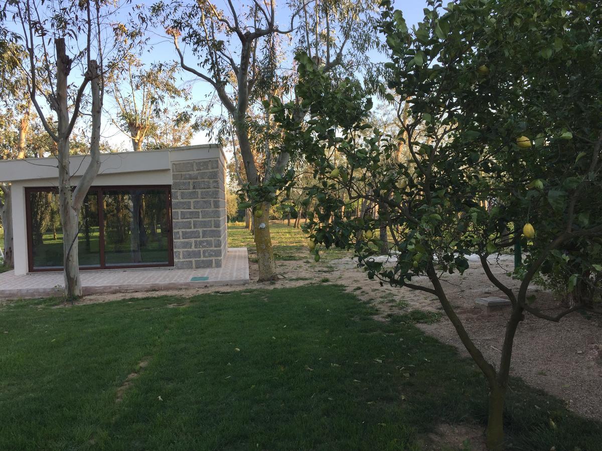 Carmiano  Tenuta Monaci La Murra מראה חיצוני תמונה